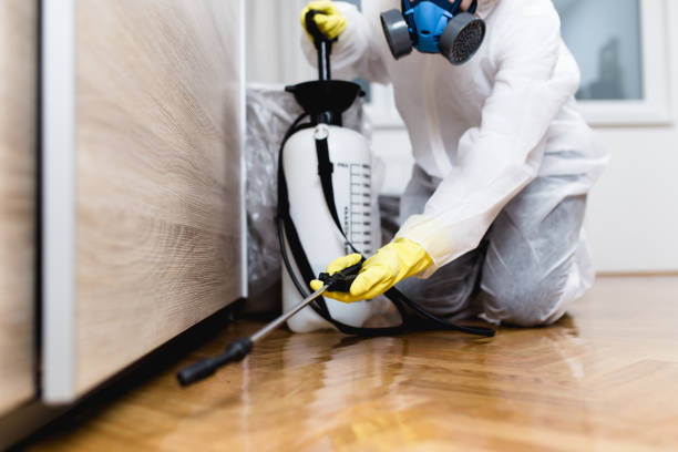 Best Local Pest Control Services  in Caledonia, MN