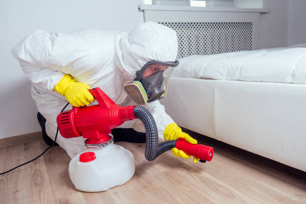 Best Exterminator Services  in Caledonia, MN
