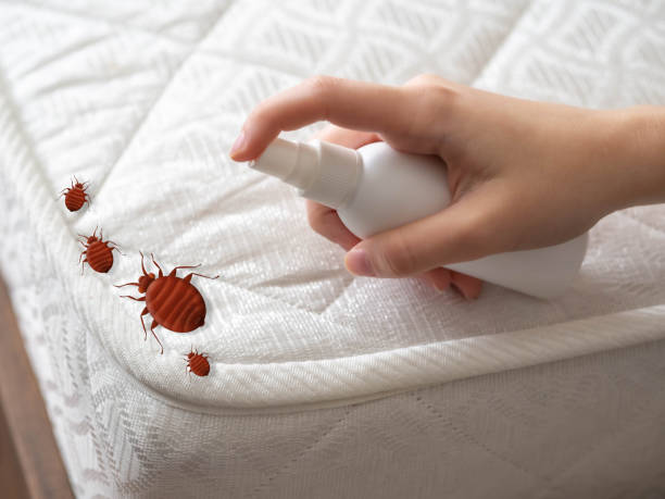 Best Pest Control Treatment  in Caledonia, MN